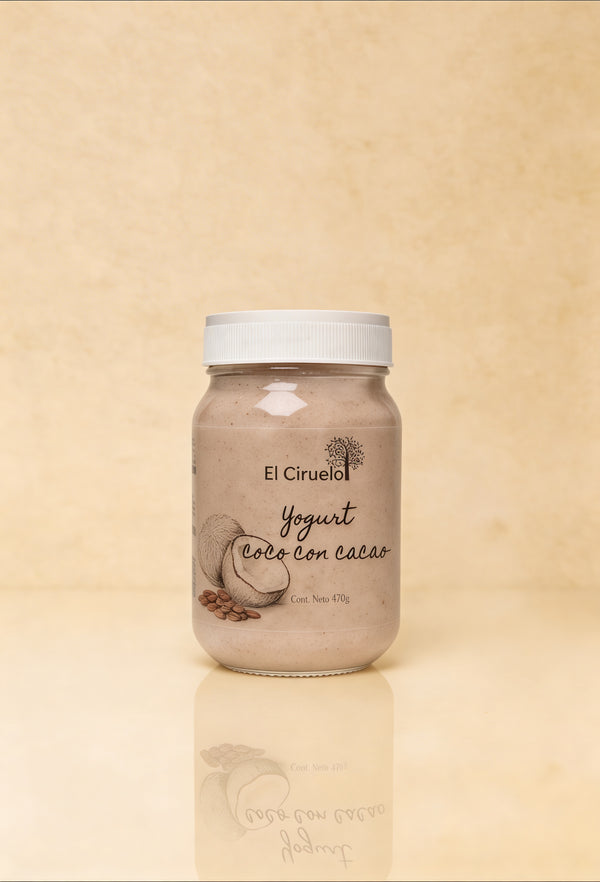 🍫 Yogurt de Coco con Cacao