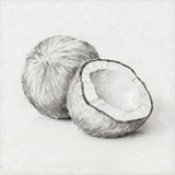 🥥 Yogurt de Coco 100% Natural